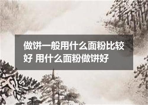 做饼一般用什么面粉比较好 用什么面粉做饼好