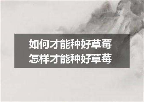 如何才能种好草莓 怎样才能种好草莓