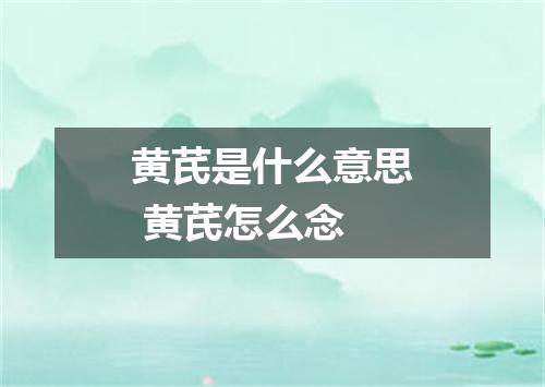 黄芪是什么意思 黄芪怎么念