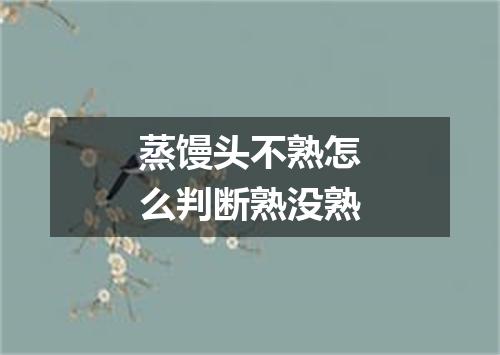 蒸馒头不熟怎么判断熟没熟