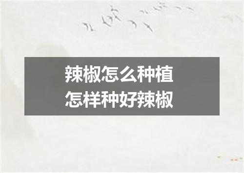 辣椒怎么种植 怎样种好辣椒