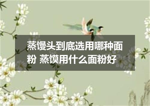 蒸馒头到底选用哪种面粉 蒸馍用什么面粉好