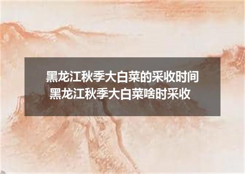黑龙江秋季大白菜的采收时间 黑龙江秋季大白菜啥时采收