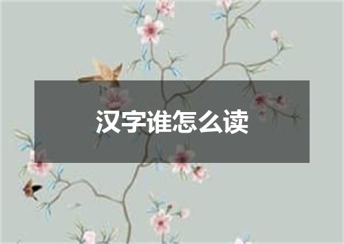 汉字谁怎么读