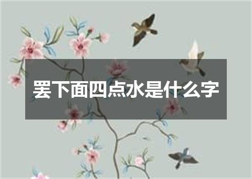 罢下面四点水是什么字