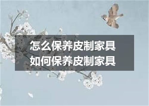 怎么保养皮制家具 如何保养皮制家具