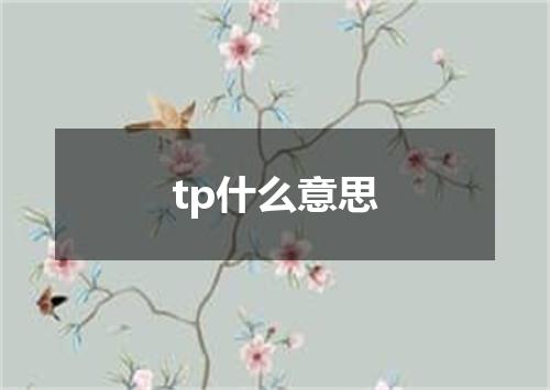 tp什么意思