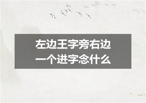 左边王字旁右边一个进字念什么