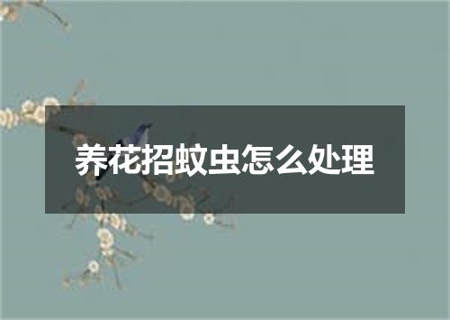 养花招蚊虫怎么处理
