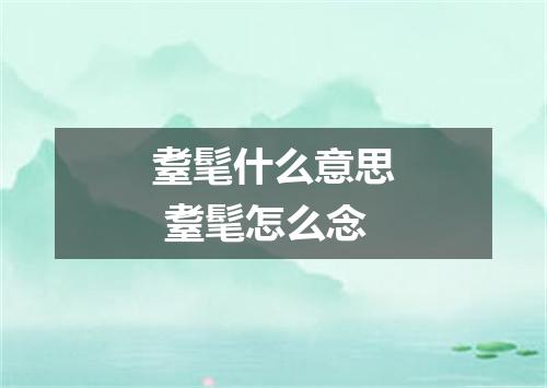 耋髦什么意思 耋髦怎么念