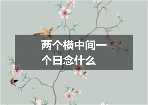 两个横中间一个日念什么