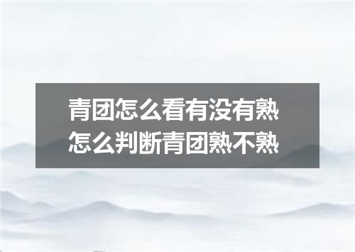 青团怎么看有没有熟 怎么判断青团熟不熟
