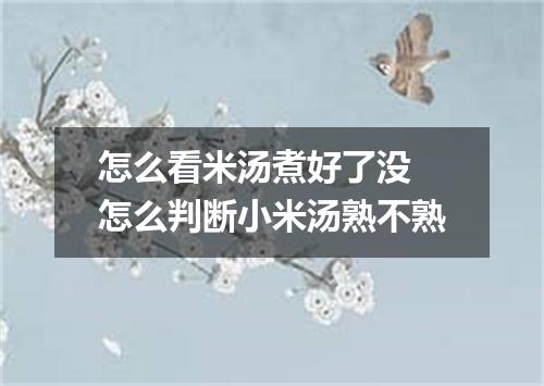 怎么看米汤煮好了没 怎么判断小米汤熟不熟