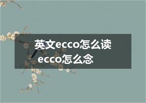 英文ecco怎么读 ecco怎么念