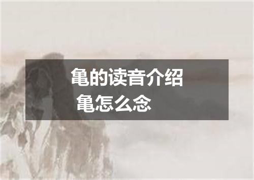 亀的读音介绍 亀怎么念