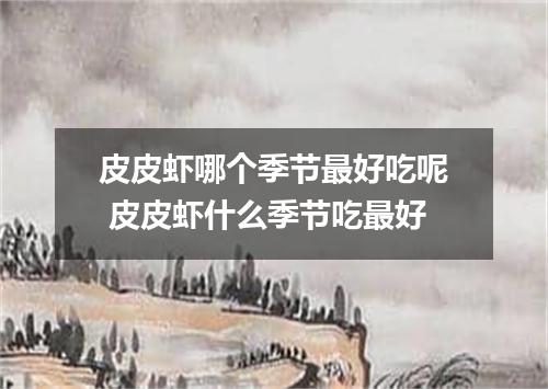 皮皮虾哪个季节最好吃呢 皮皮虾什么季节吃最好