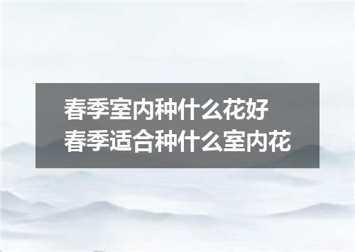 春季室内种什么花好 春季适合种什么室内花