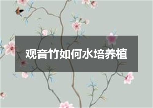 观音竹如何水培养植