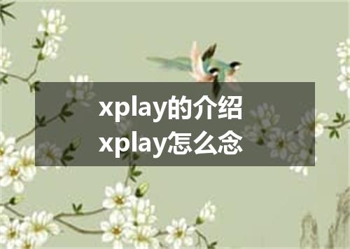 xplay的介绍 xplay怎么念