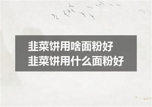 韭菜饼用啥面粉好 韭菜饼用什么面粉好