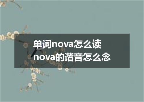 单词nova怎么读 nova的谐音怎么念