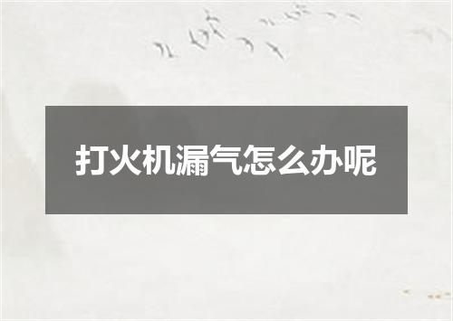 打火机漏气怎么办呢