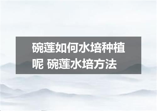 碗莲如何水培种植呢 碗莲水培方法
