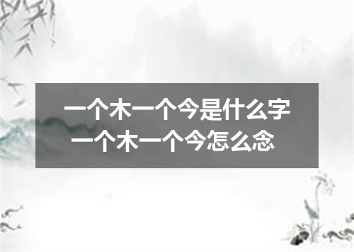 一个木一个今是什么字 一个木一个今怎么念