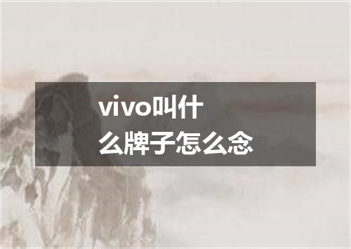 vivo叫什么牌子怎么念