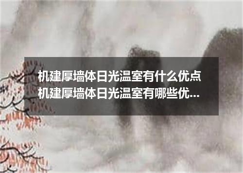 机建厚墙体日光温室有什么优点 机建厚墙体日光温室有哪些优点