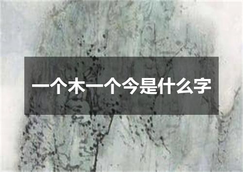 一个木一个今是什么字