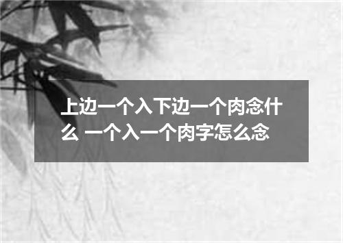 上边一个入下边一个肉念什么 一个入一个肉字怎么念