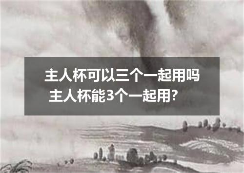 主人杯可以三个一起用吗 主人杯能3个一起用?