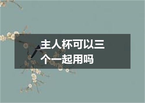 主人杯可以三个一起用吗