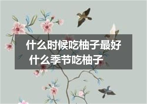什么时候吃柚子最好 什么季节吃柚子