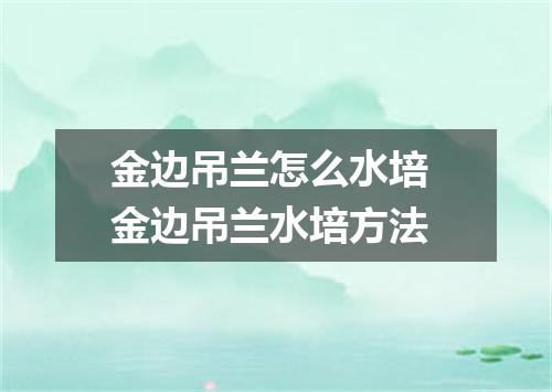 金边吊兰怎么水培 金边吊兰水培方法