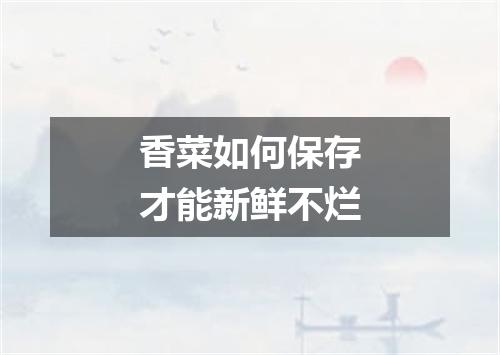 香菜如何保存才能新鲜不烂