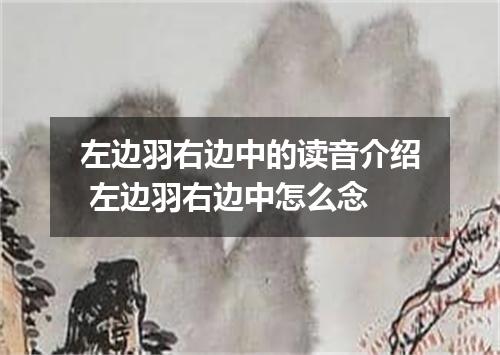 左边羽右边中的读音介绍 左边羽右边中怎么念