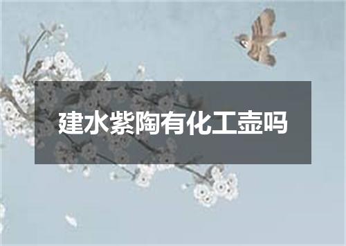 建水紫陶有化工壶吗