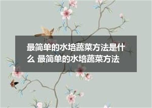 最简单的水培蔬菜方法是什么 最简单的水培蔬菜方法
