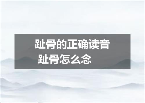 趾骨的正确读音 趾骨怎么念