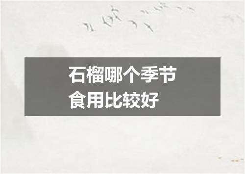 石榴哪个季节食用比较好