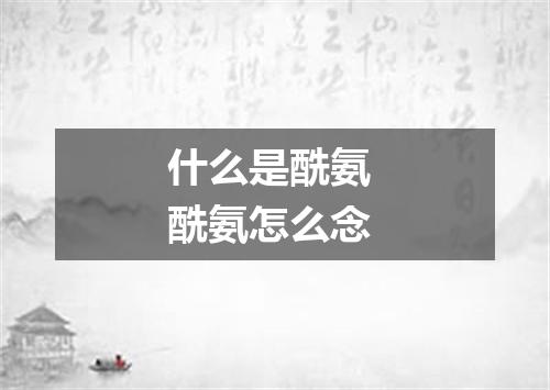 什么是酰氨 酰氨怎么念