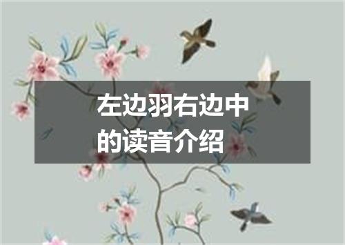 左边羽右边中的读音介绍