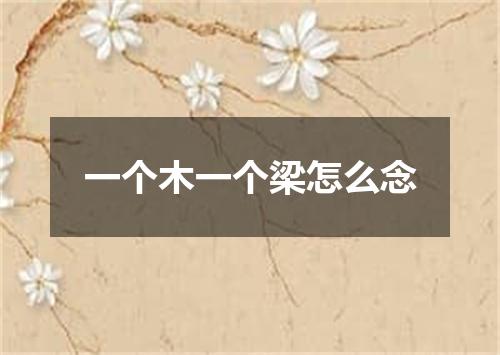 一个木一个梁怎么念