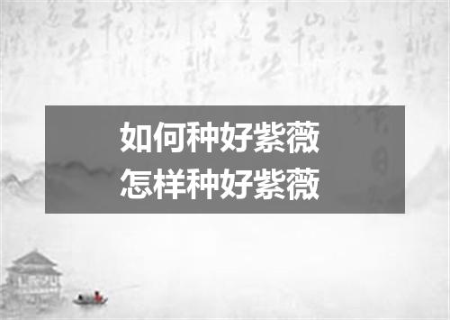 如何种好紫薇 怎样种好紫薇