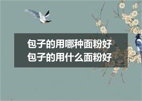 包子的用哪种面粉好 包子的用什么面粉好