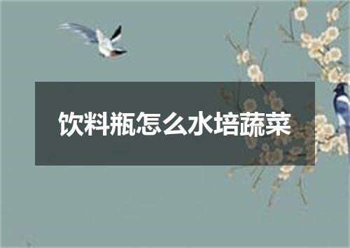 饮料瓶怎么水培蔬菜