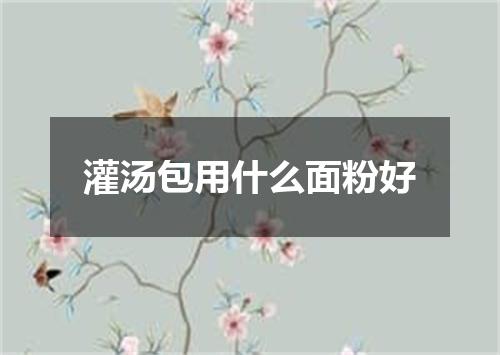 灌汤包用什么面粉好
