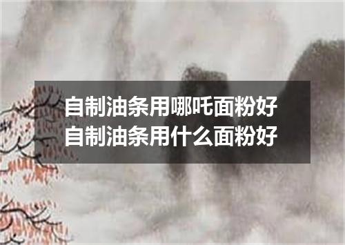 自制油条用哪吒面粉好 自制油条用什么面粉好